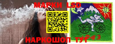 гидропоника Ставрополь