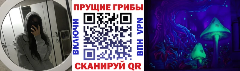 Галлюциногенные грибы мухоморы  Черемхово 