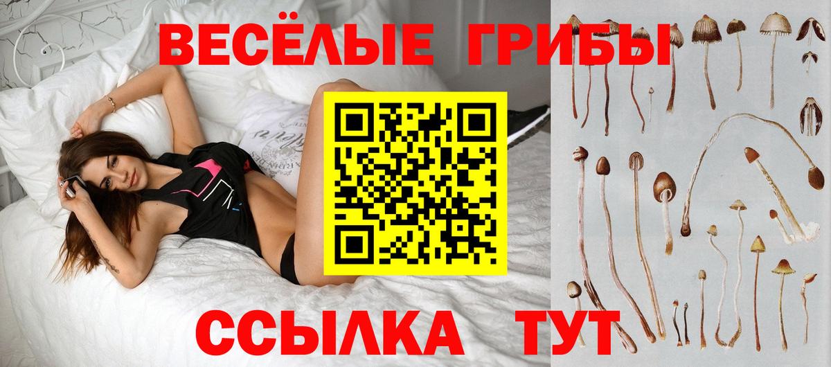 Псилоцибиновые грибы ЛСД  Псилоцибиновые грибы мицелий  Вход с VPN  Черемхово 
