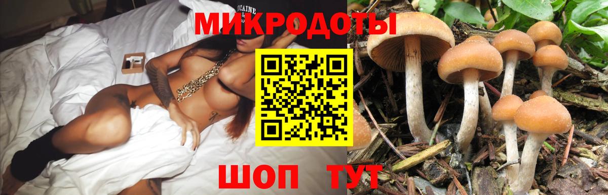Галлюциногенные грибы Magic Shrooms Черемхово