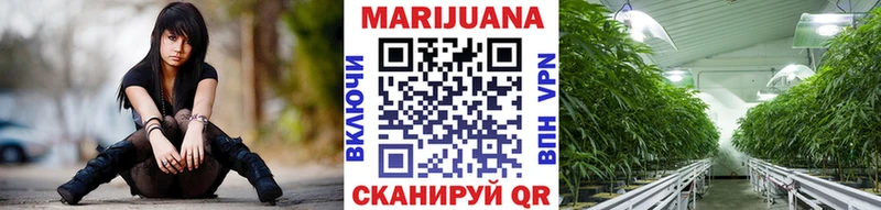 Бошки Шишки конопля  Черемхово 